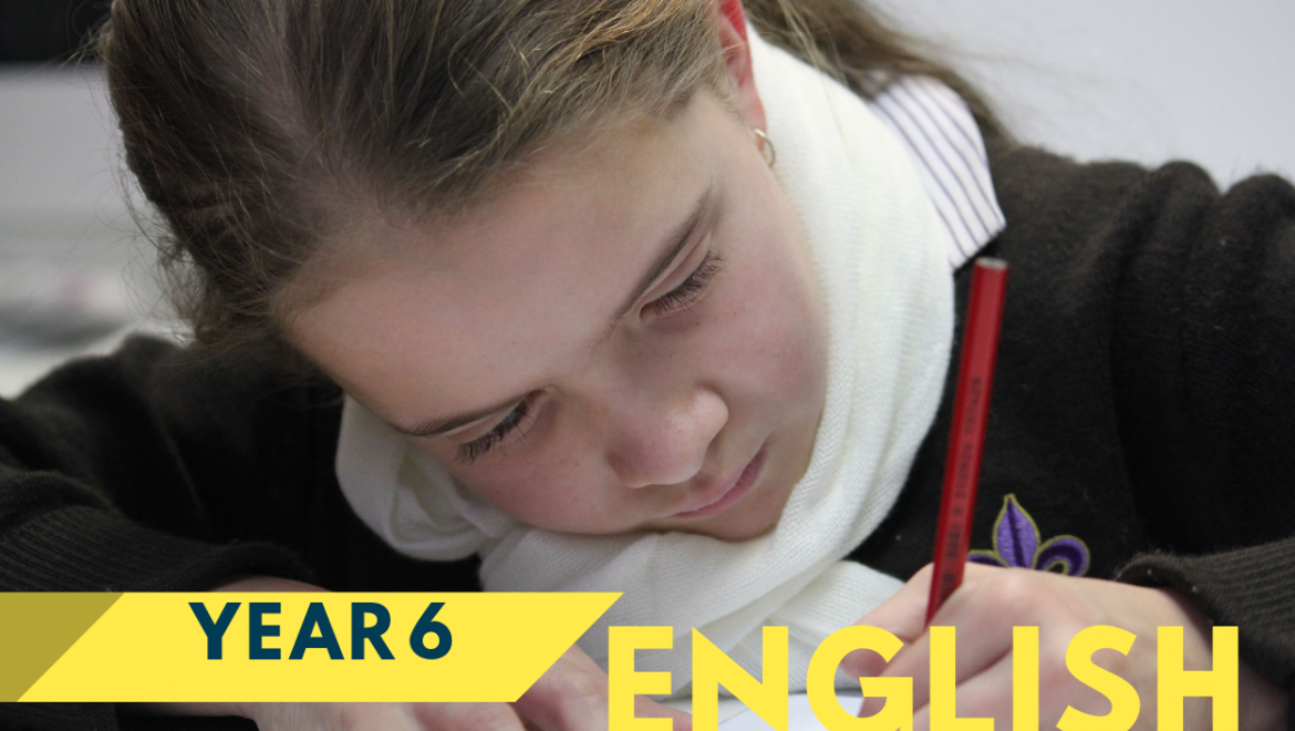 Adelaide Year 6 English Tuition
